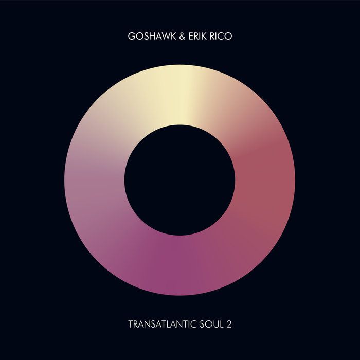 Goshawk & Erik Rico - Transatlantic Soul 2 [ARC179SD]